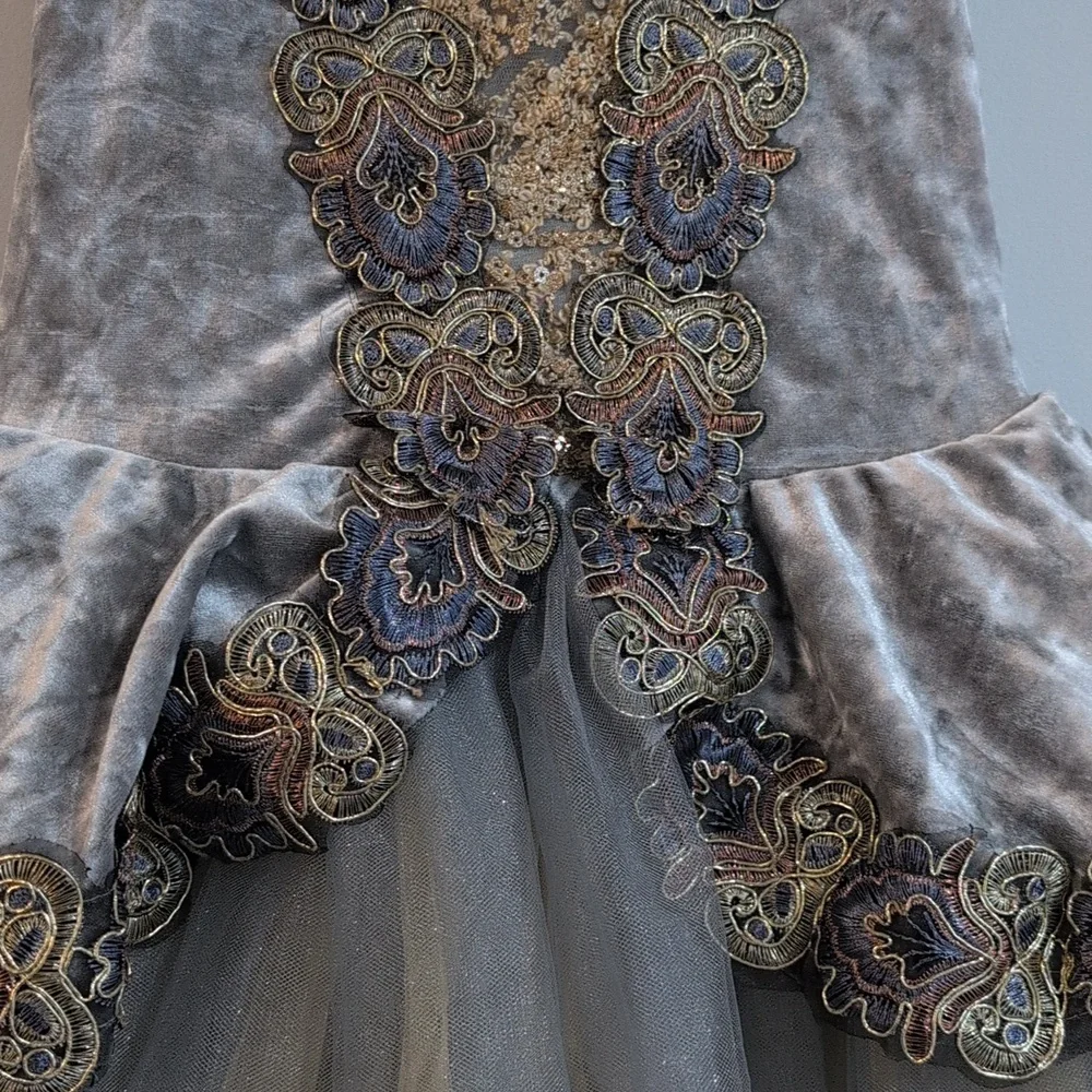 Revolution Velvet Silver and Gold Dance Costume Tutu Size Women's M - Picture 4 of 12